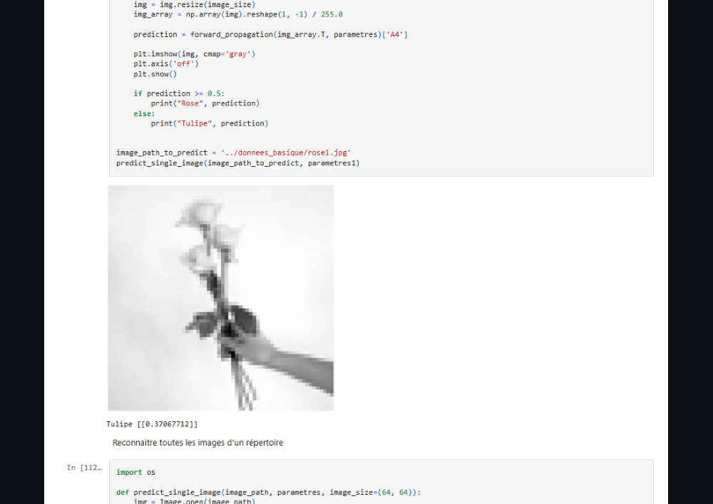 Projet Neuro Reconnaissance